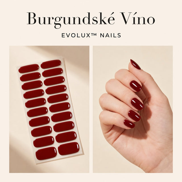 Burgundské Víno
