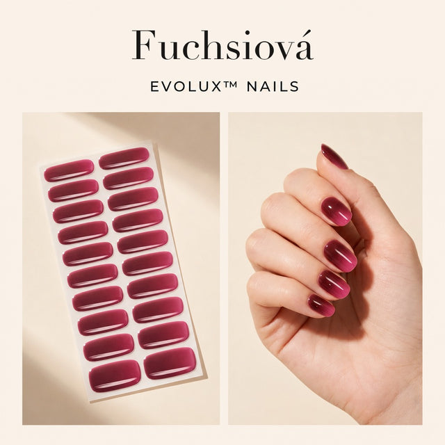 Fuchsiová