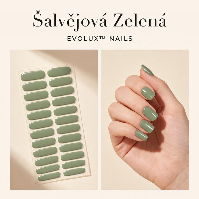 Šalvějová Zelená